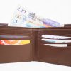 Dents Wallet Tan 5515